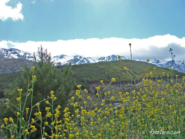 Sierra Nevada desde Abrucena en primavera